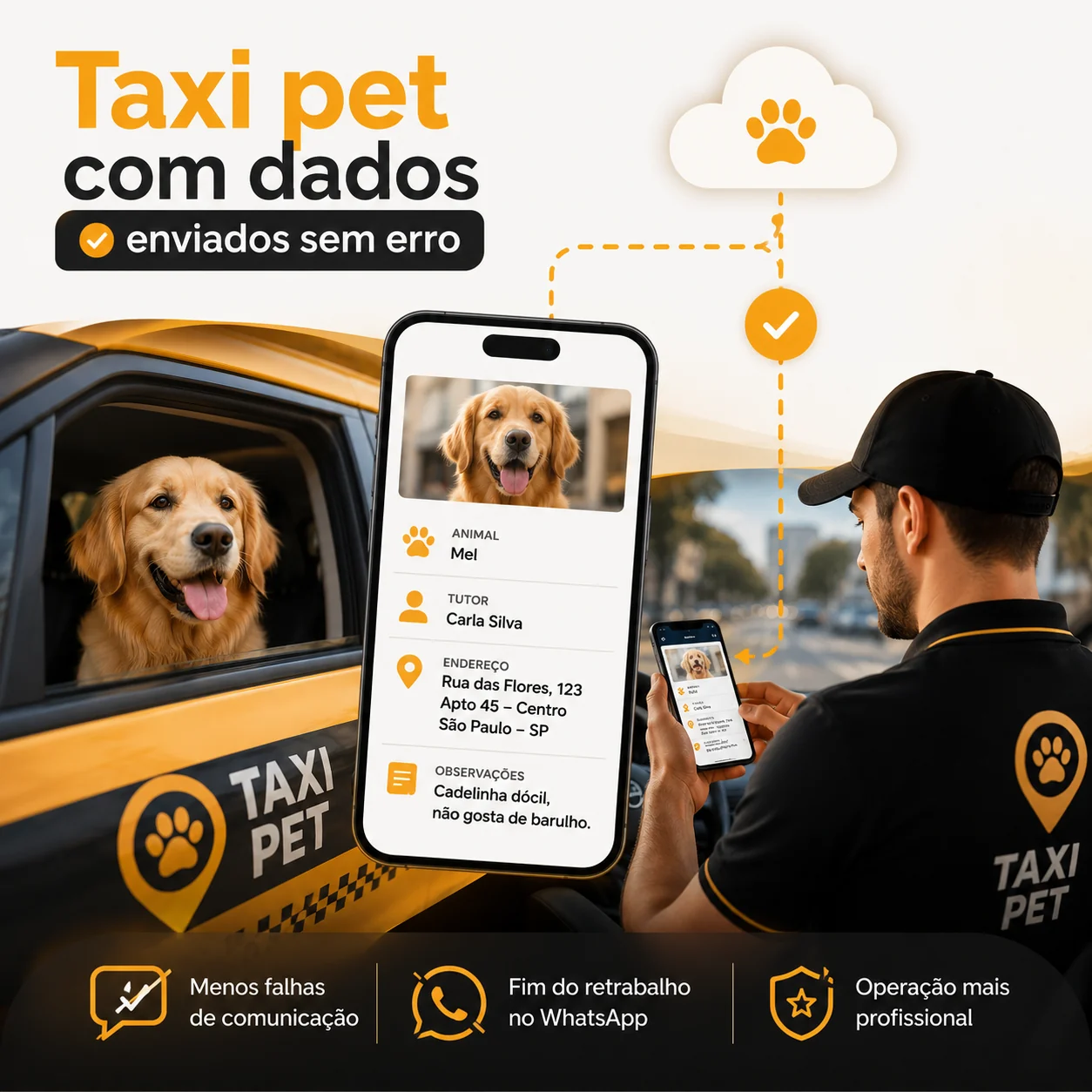 Taxi pet com agendamento sem erro: como evitar confusão com coleta, endereço e horário